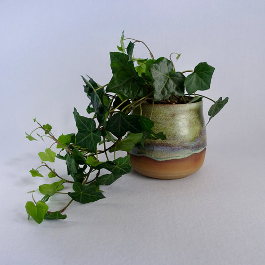Blomsterpotte