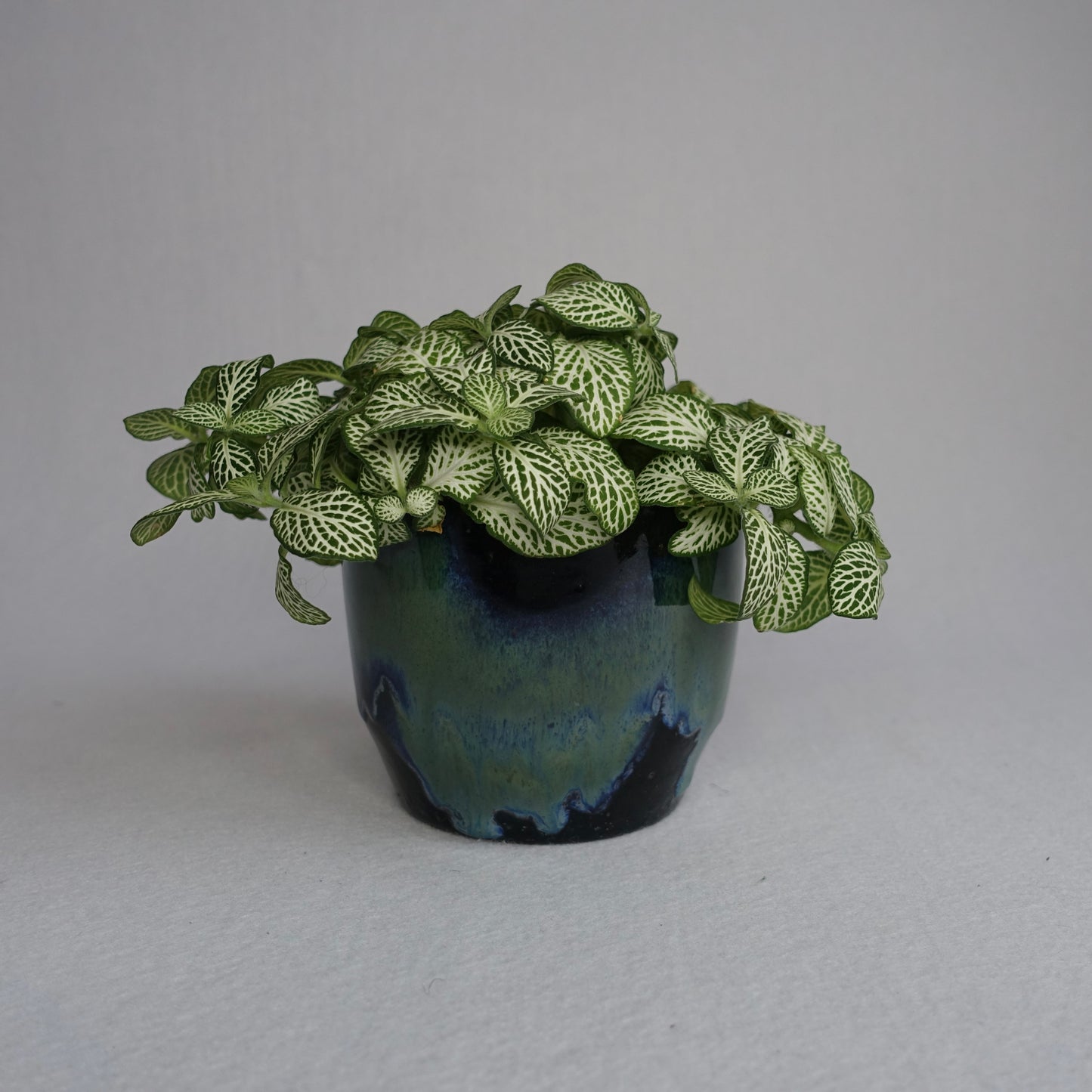 Blomsterpotte aurora