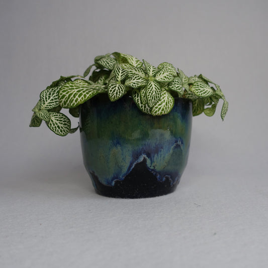 Blomsterpotte aurora
