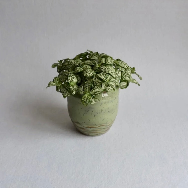 Blomsterpotte